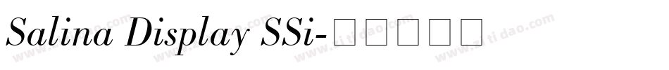 Salina Display SSi字体转换